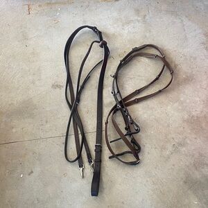 German Martingale with Reins